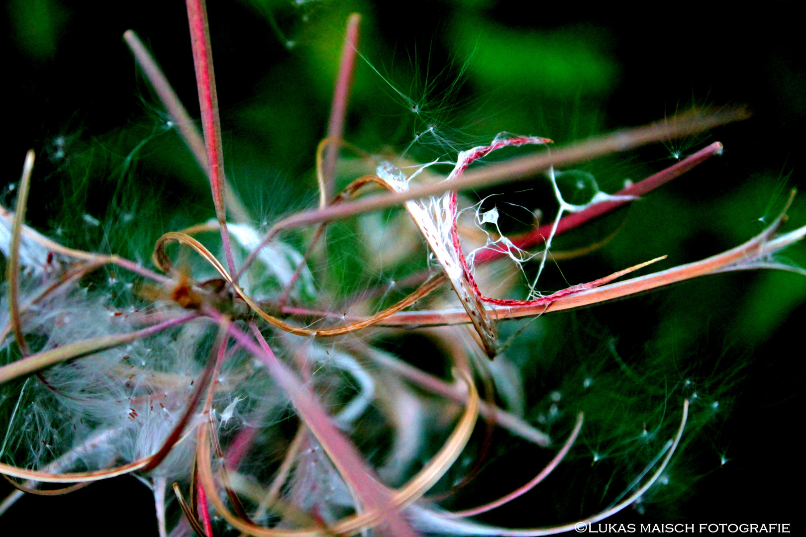 Green Detail