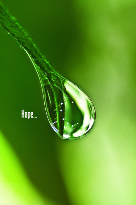 GREEN DROP