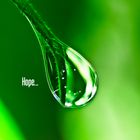 GREEN DROP