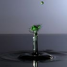 Green Drop