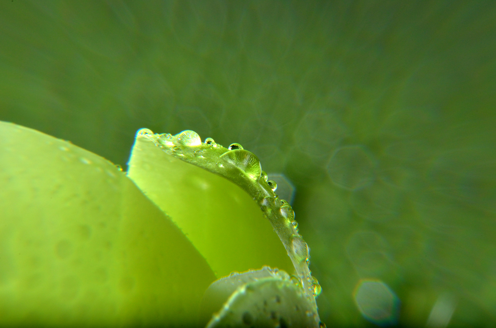 green drops