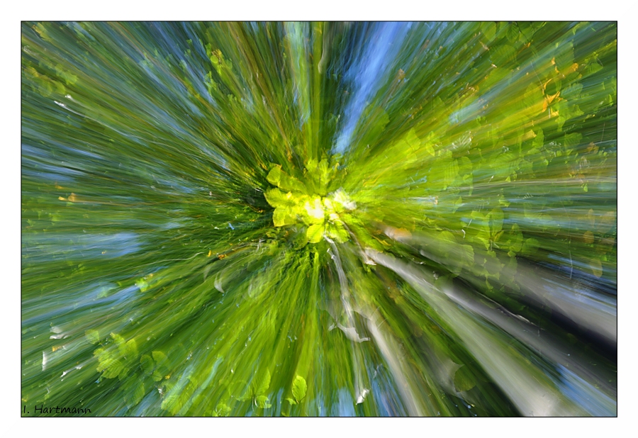 Green Explosion