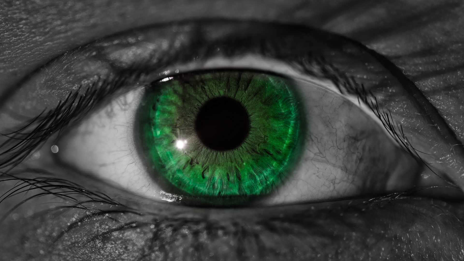 Green eye in a monochrome world...