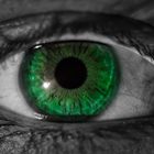 Green eye in a monochrome world...