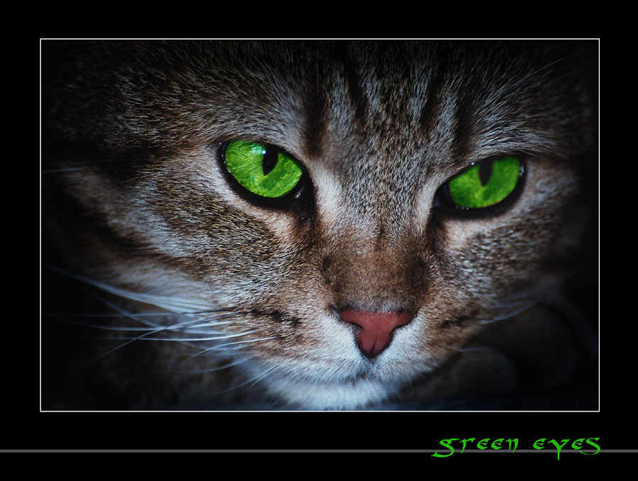 Green Eyes