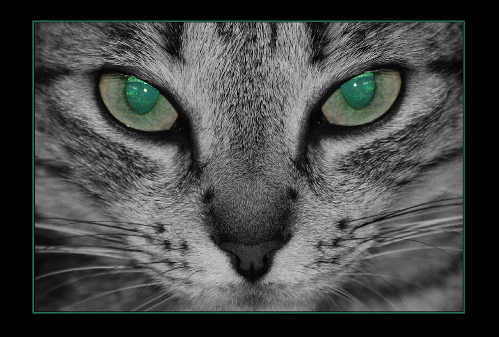 Green eyes