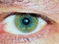 Green eyes...green age... di Luigi Paccagnella 