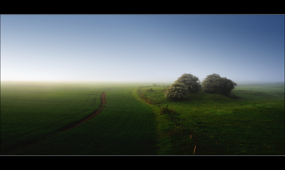 green field | 02