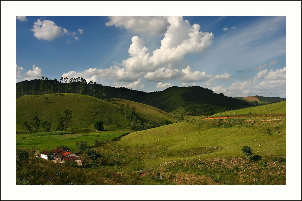 Green field