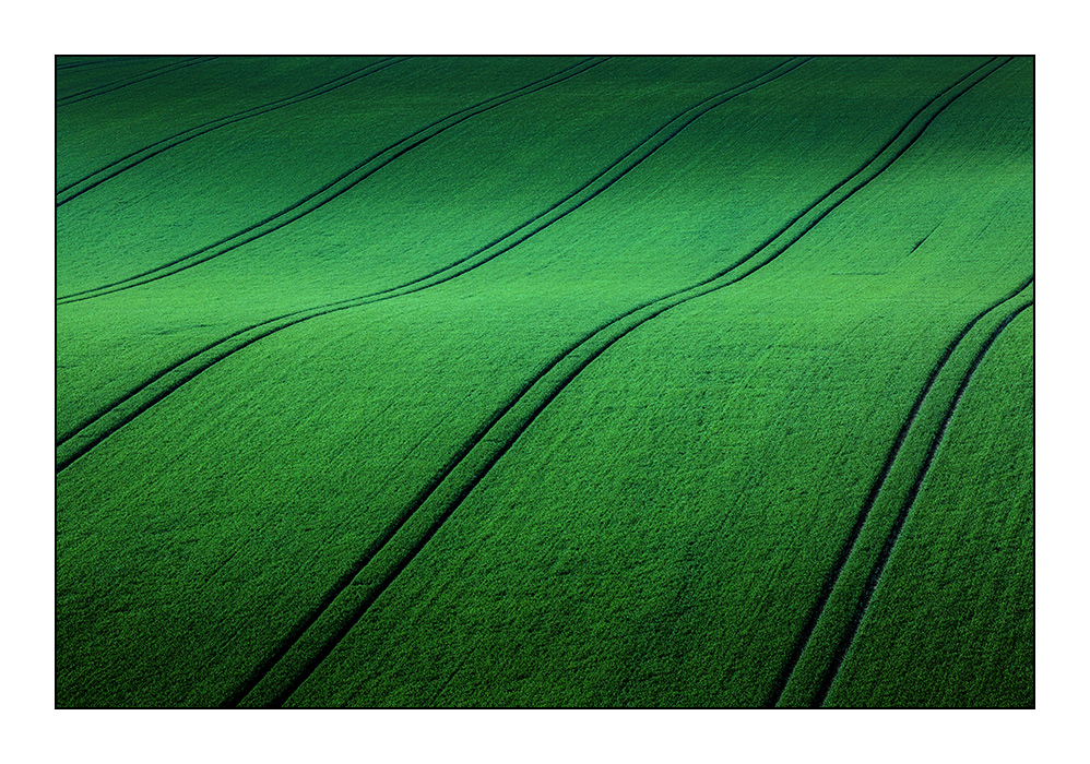 Green fields