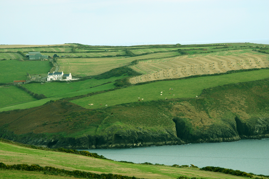 Green Fields