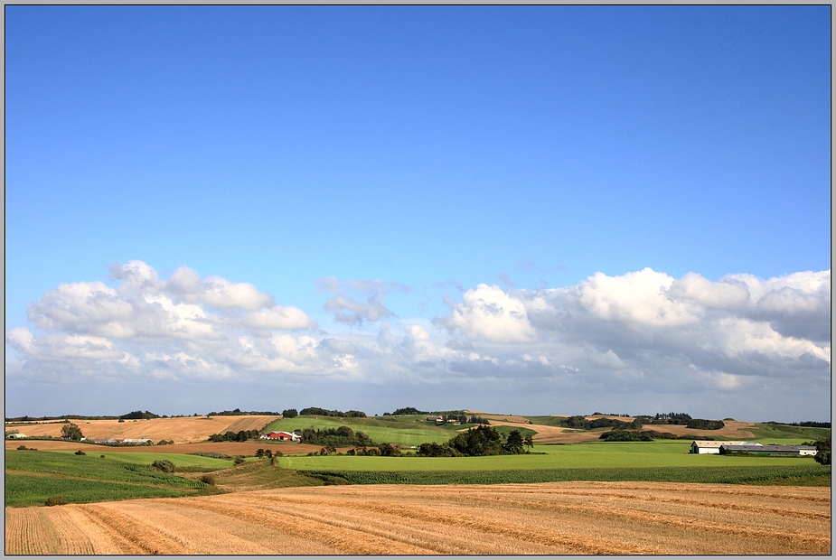 green fields