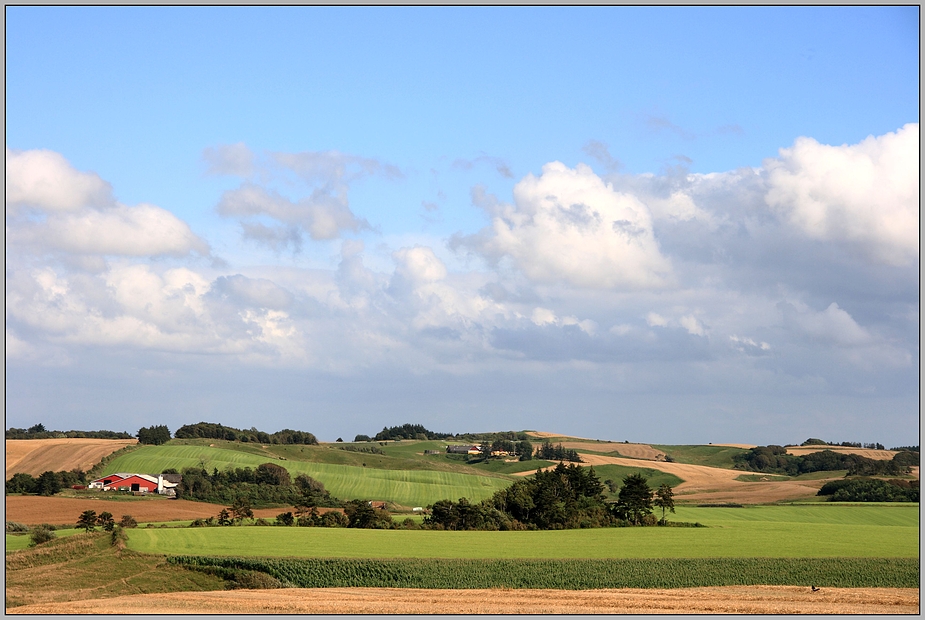 green fields