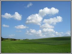 green fields II