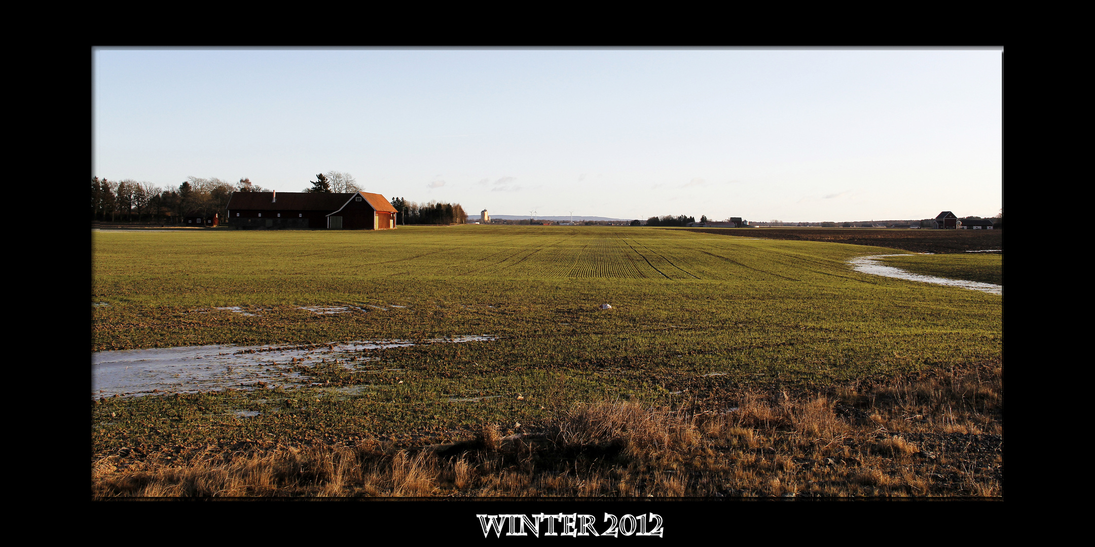 Green fields in the middle of January ??!!