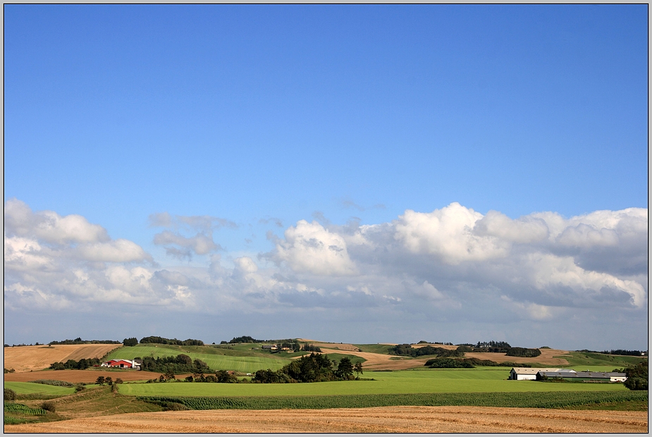 green fields IV