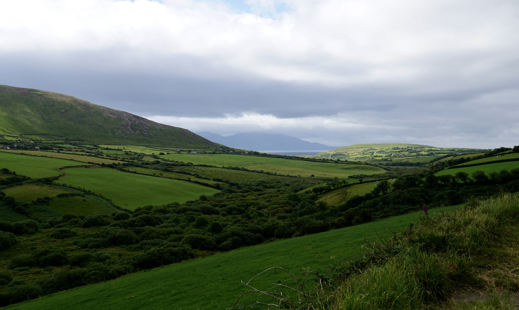 Green Fields of Ireland ...