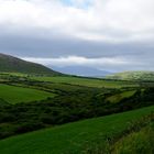 Green Fields of Ireland ...