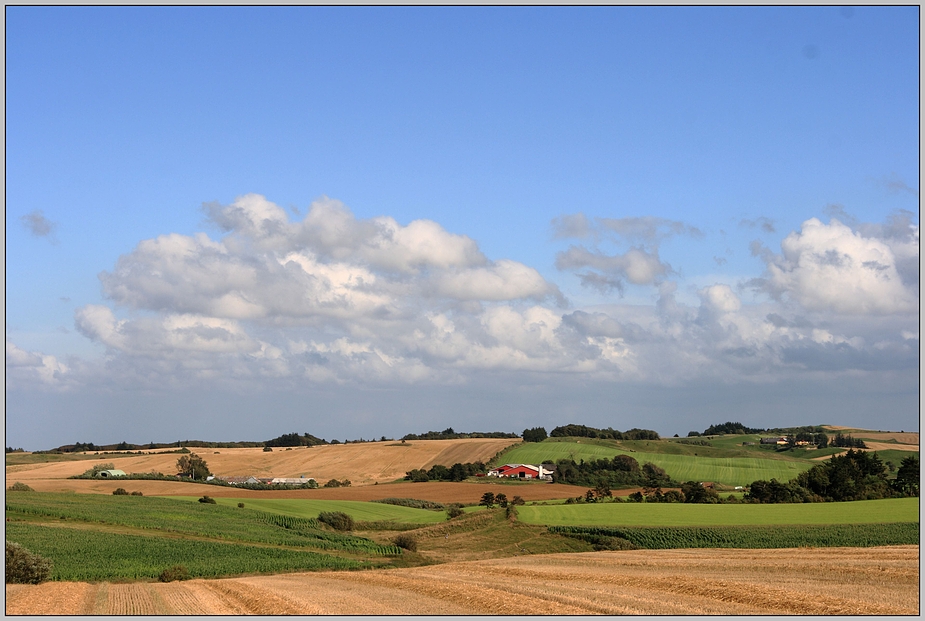 green fields V