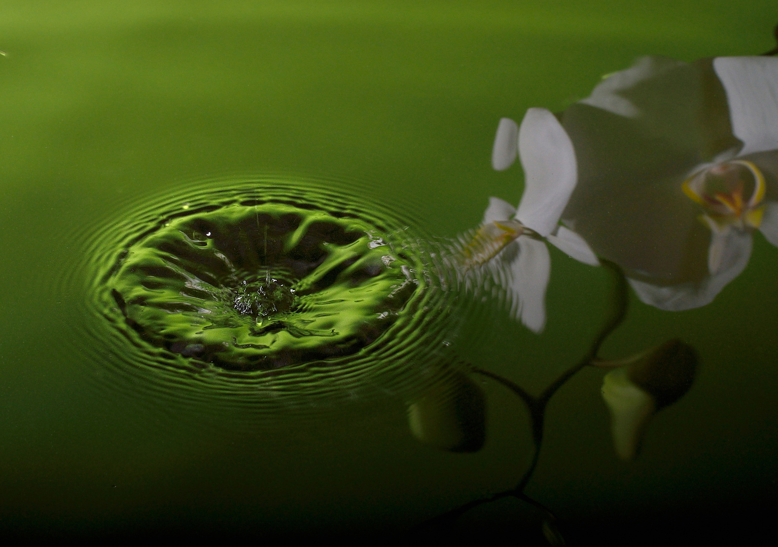 green flower