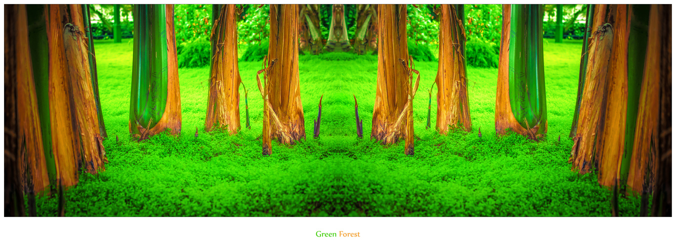 Green Forest