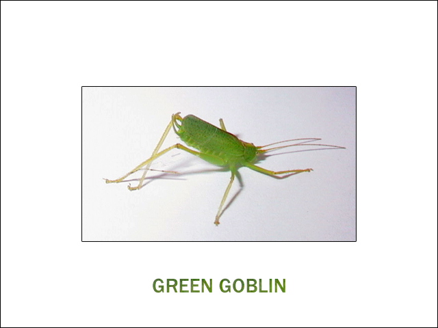 Green Goblin