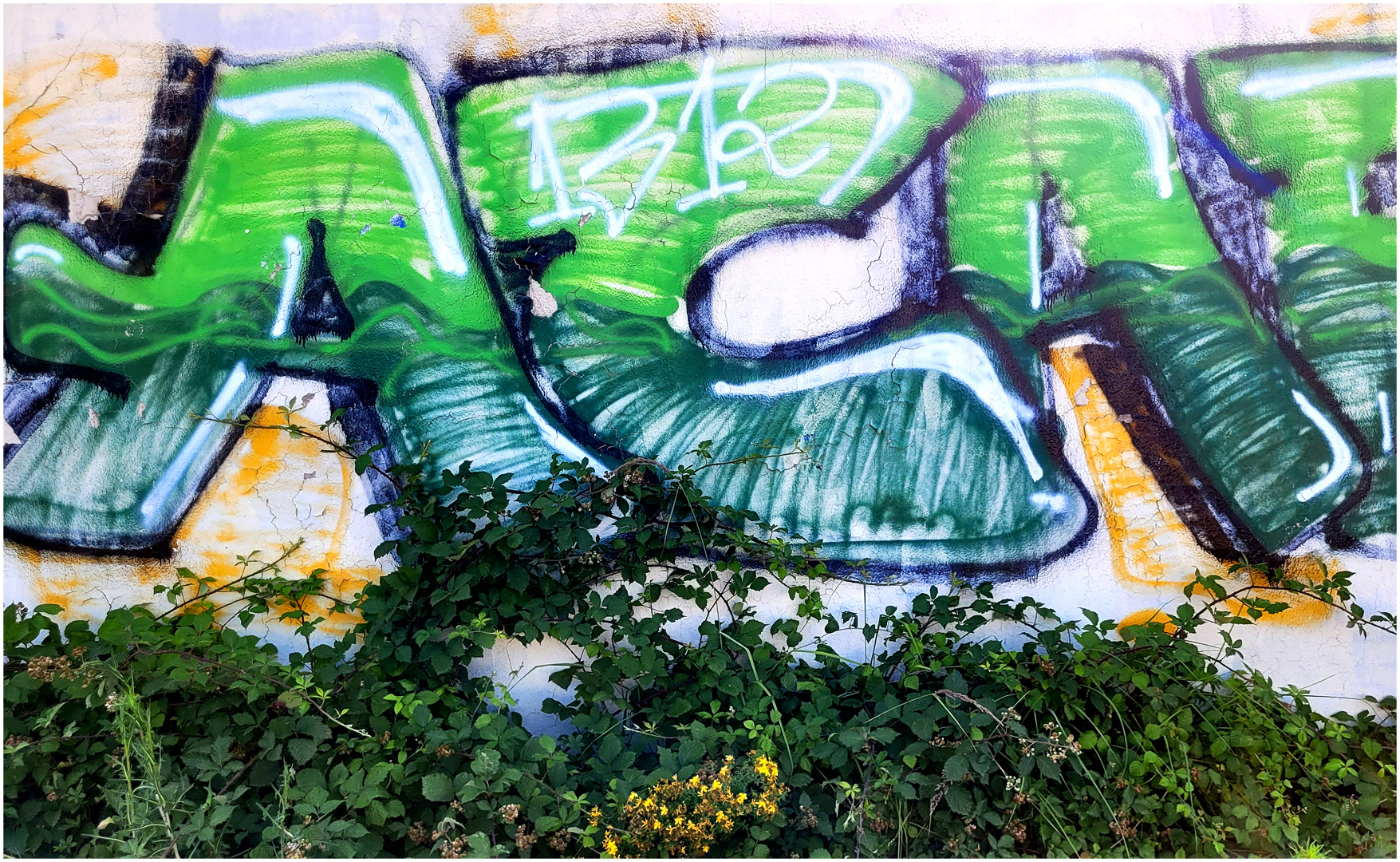 Green Graffiti