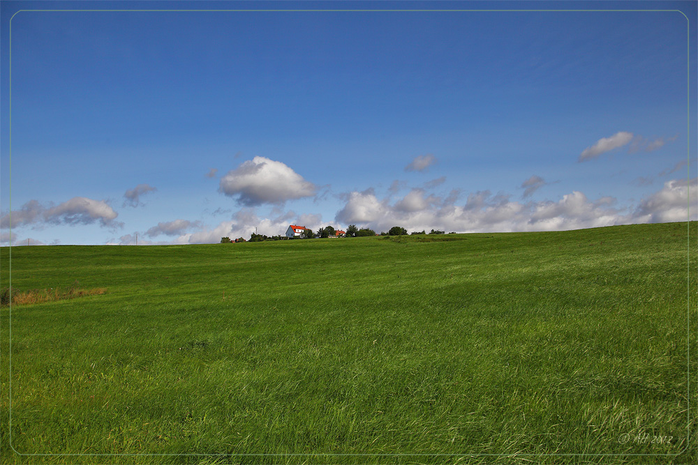 Green gras, blue sky ...