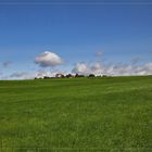 Green gras, blue sky ...