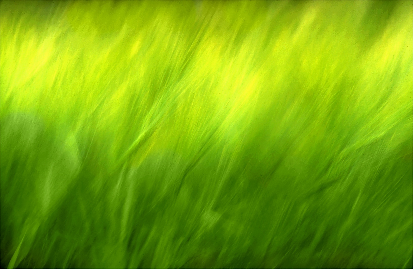 green grass