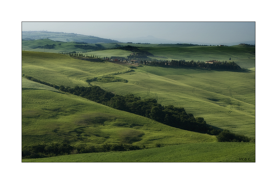 green, green fields