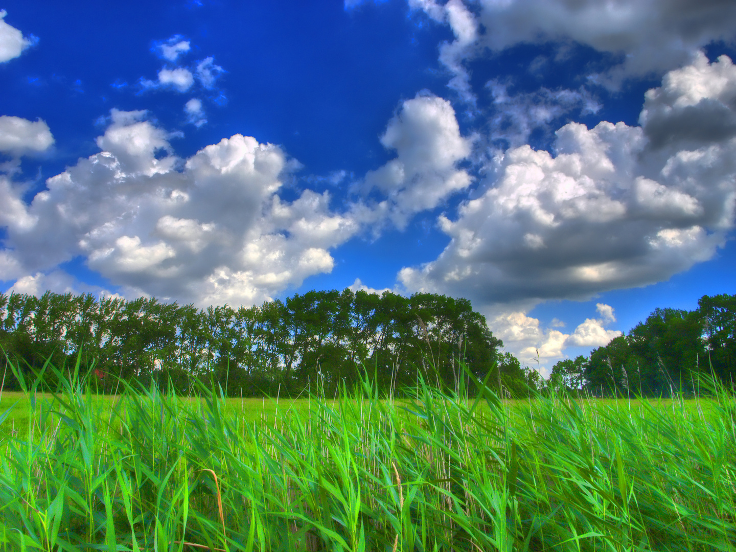 Green green gras of home