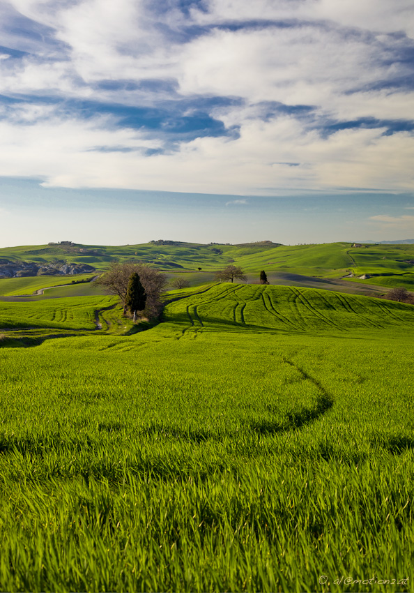 Green, green grass