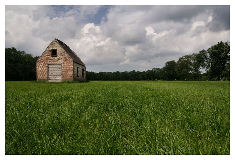 green green grass