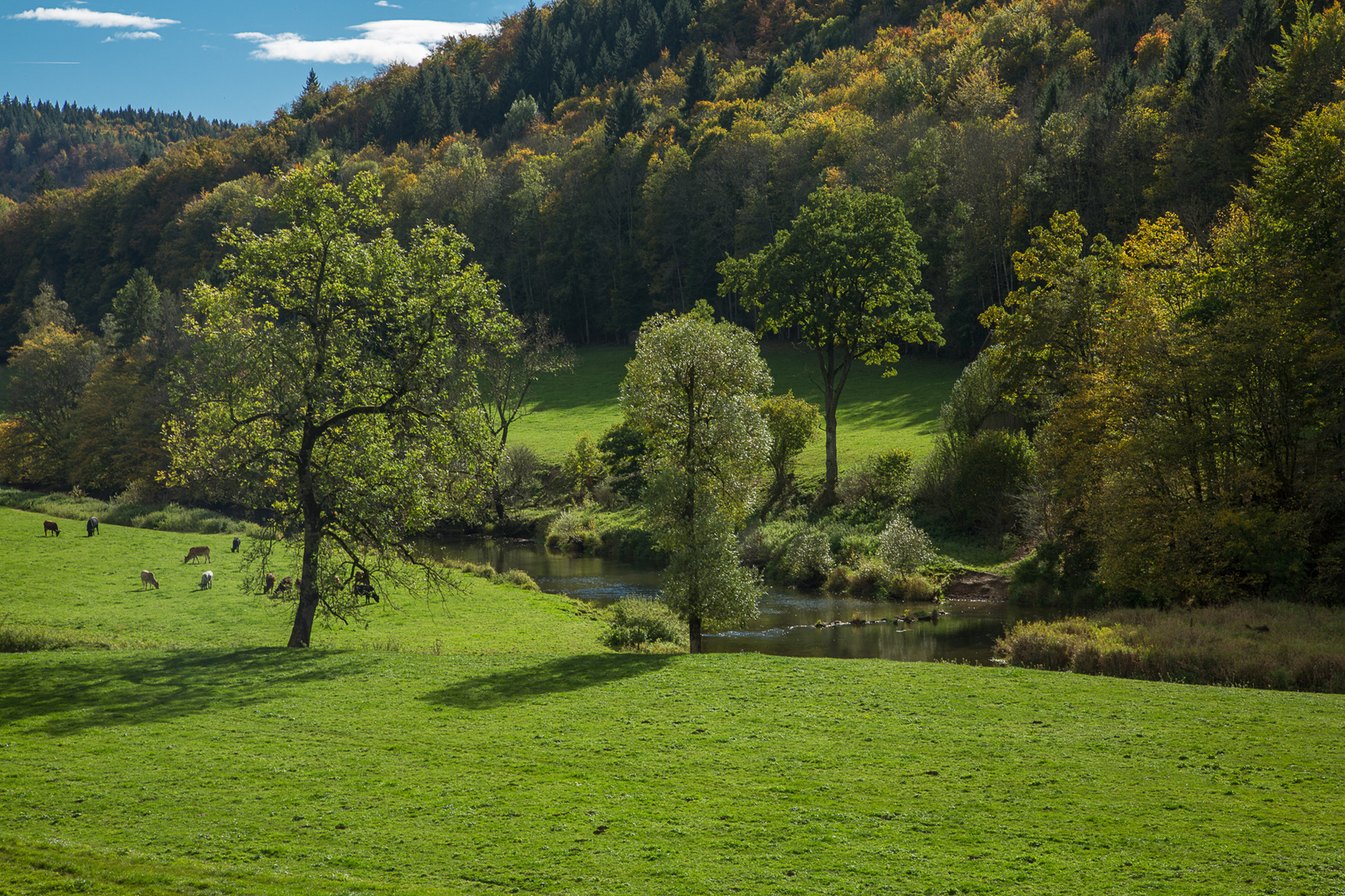 Green, Green Grass of Home