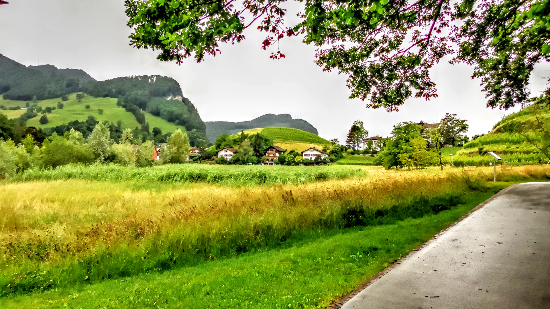 GREEN HILLS AND VALLEYS OF BALZERS, LIECHTENSTEIN 