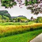 GREEN HILLS AND VALLEYS OF BALZERS, LIECHTENSTEIN 