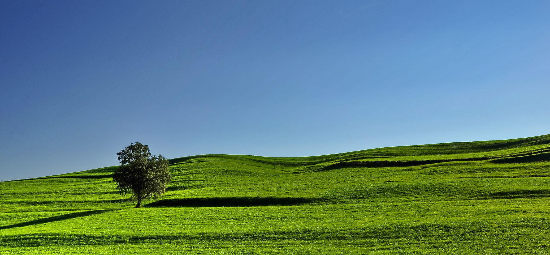 green hills of allgäu