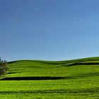green hills of allgäu