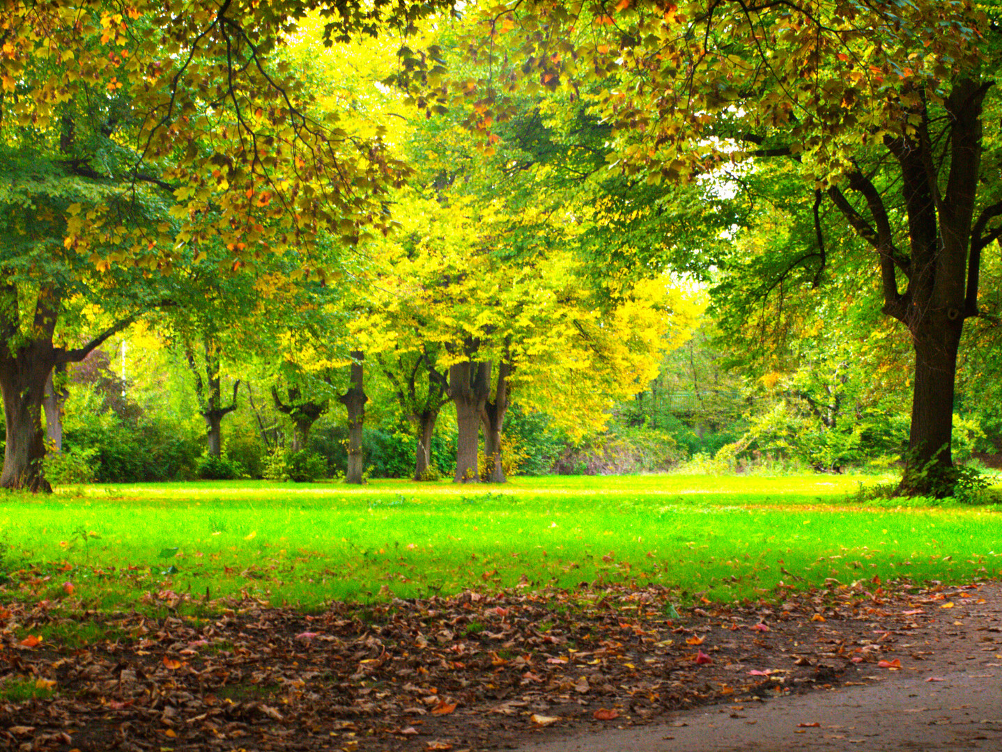 Green Hood - Der Herbst hat begonnen / Parklandschaft