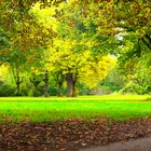 Green Hood - Der Herbst hat begonnen / Parklandschaft