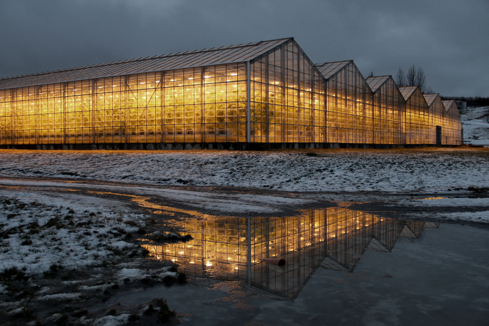 Green House