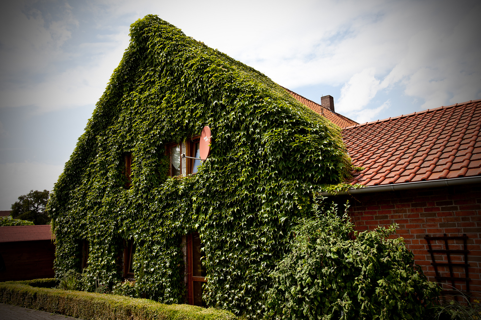 * green house *