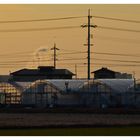 Green Houses