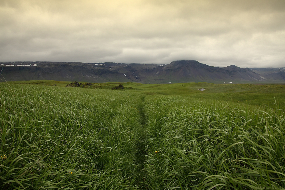 Green Iceland