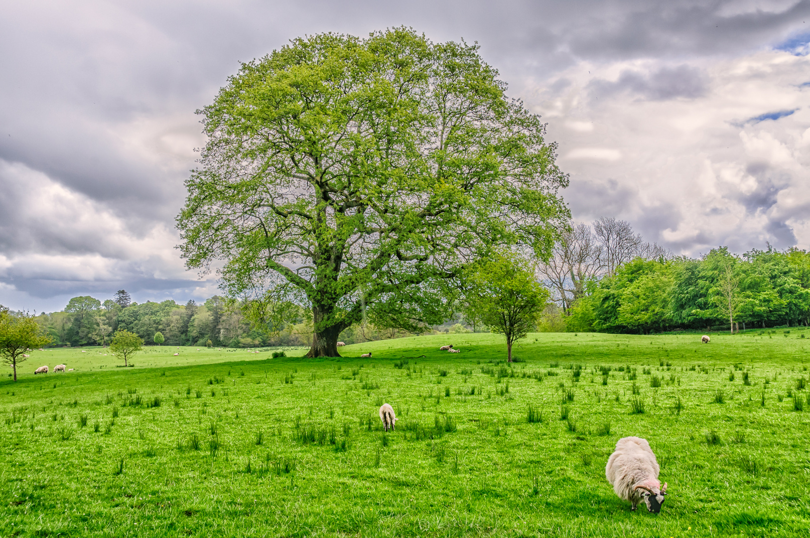 Green infinity