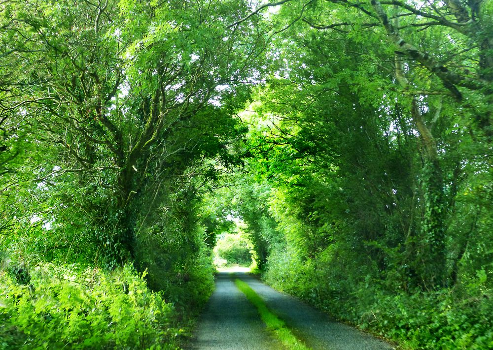 Green Ireland