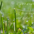 Green is the colour of life