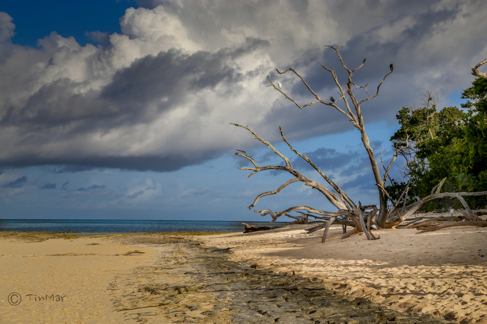 Green Island