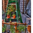 Green Ladder